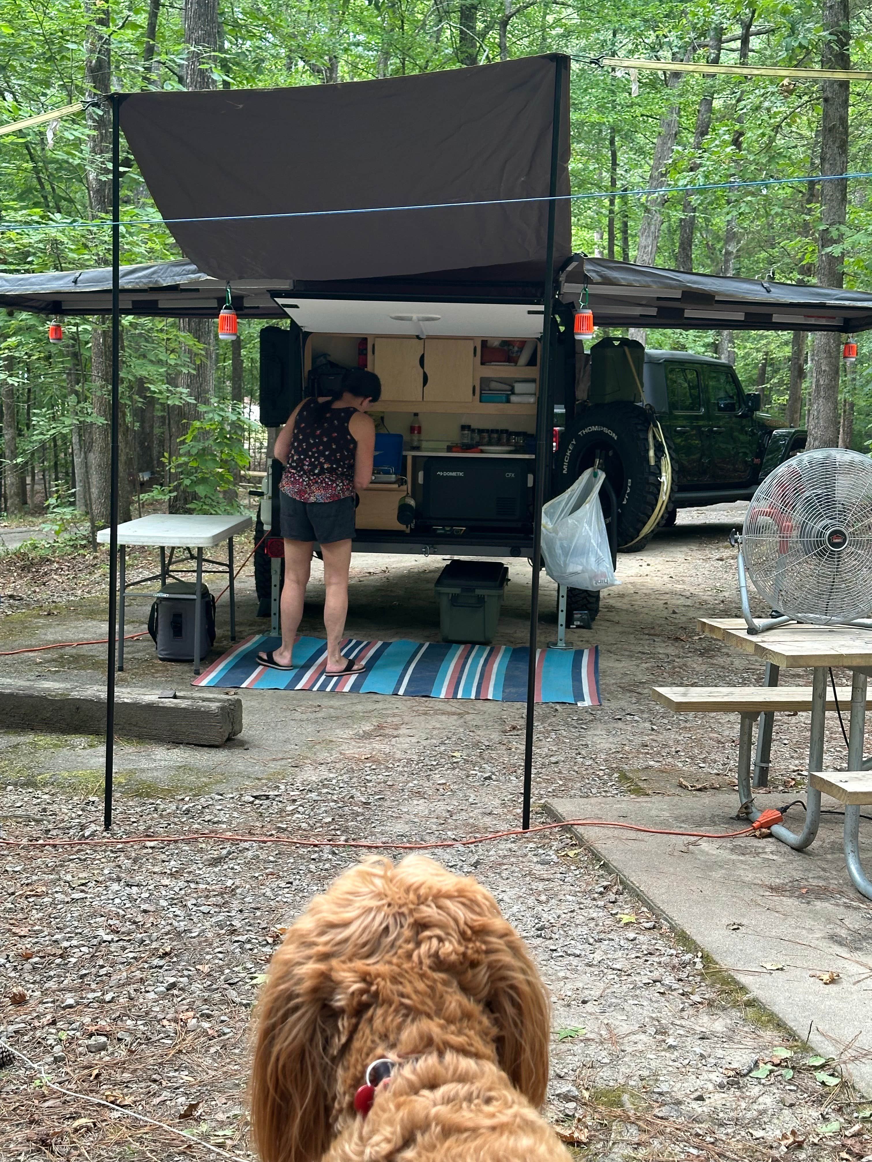 Sable A.'s photo of camping with pets at Pickwick Landing State Park Campground near Baldwyn, MS