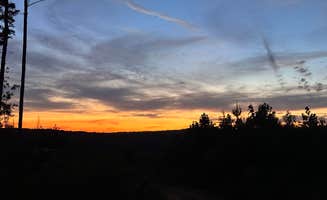 Tucker K.'s photo of a dispersed camping area at Prentice Cooper State Forest Dispersed near Soddy-Daisy, TN