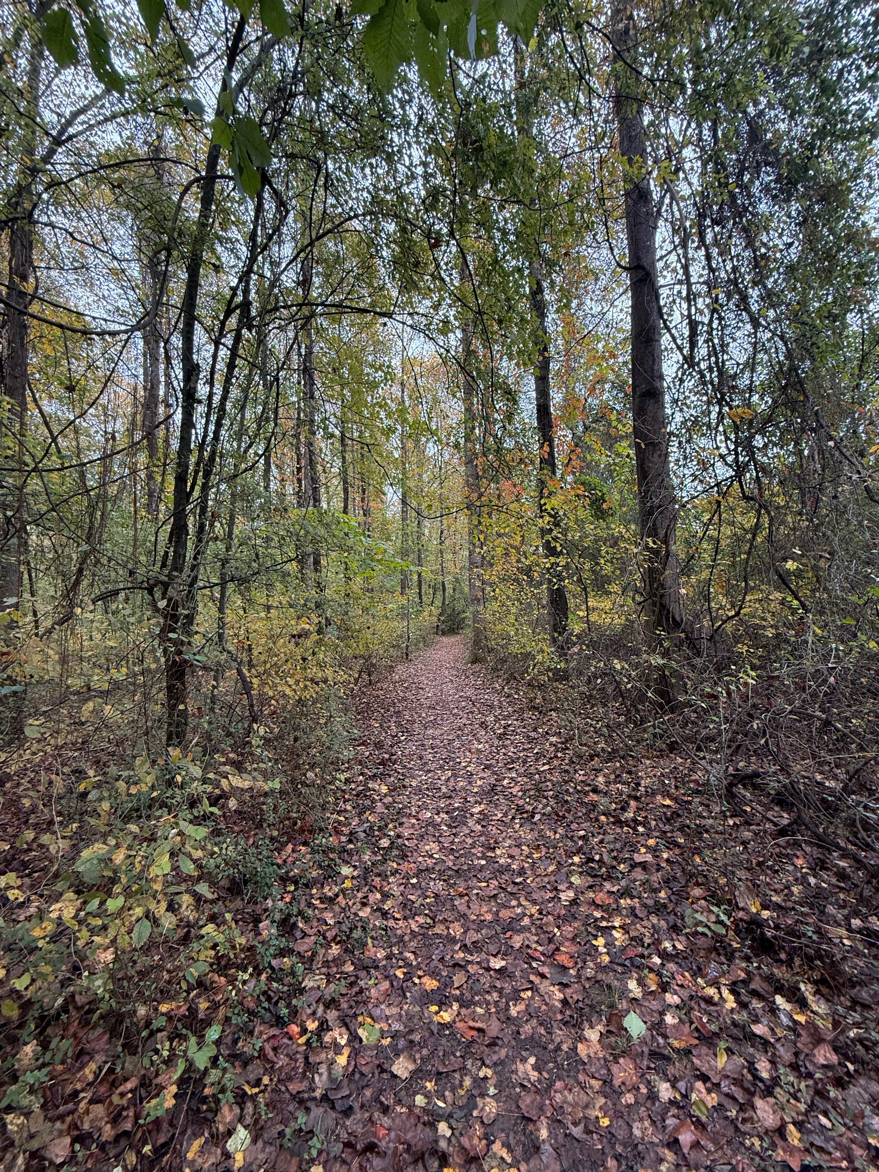Camper-submitted photo at Quinn Springs Campground near Etowah, TN