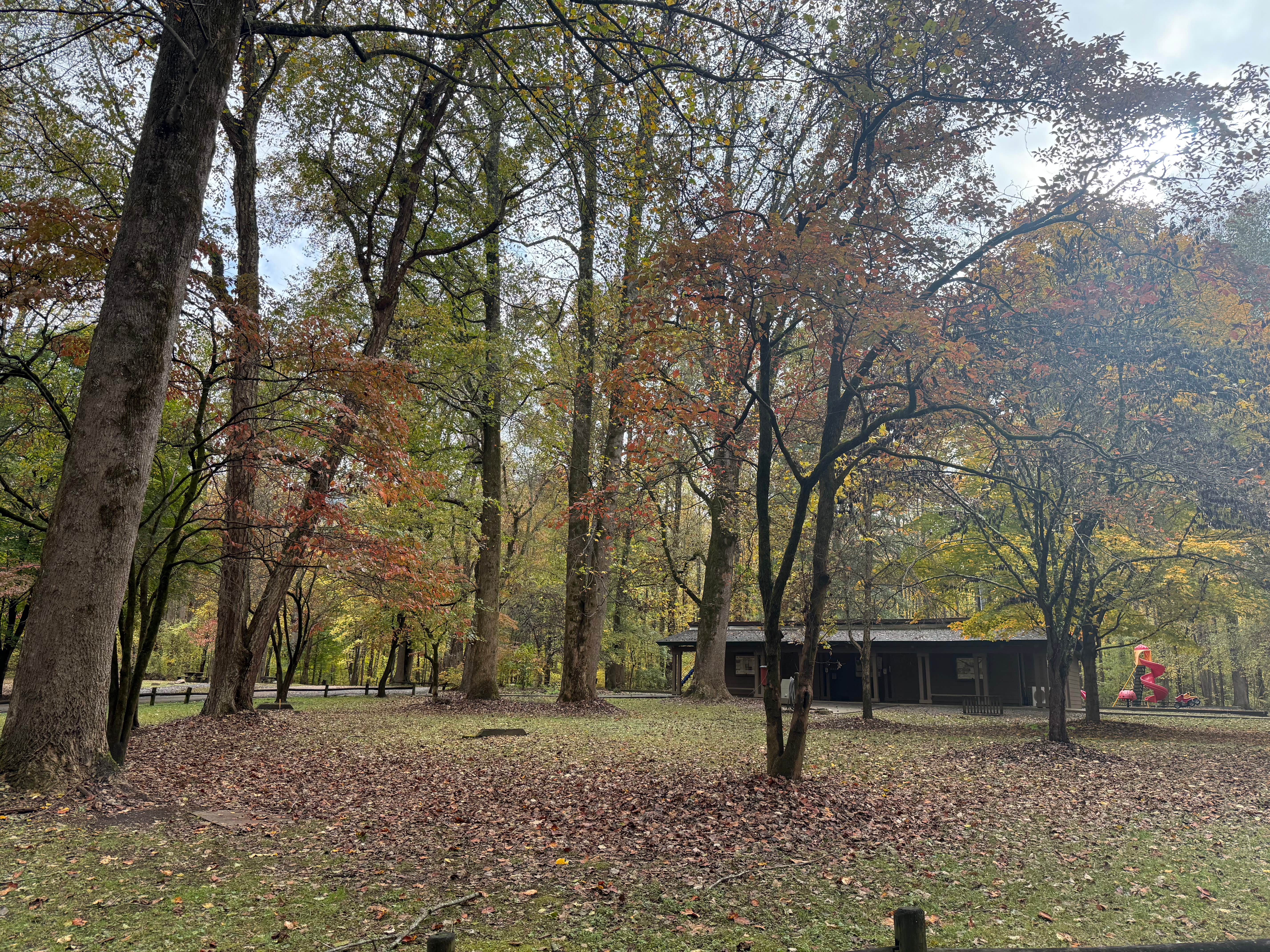 Camper submitted image from Quinn Springs Campground - 1