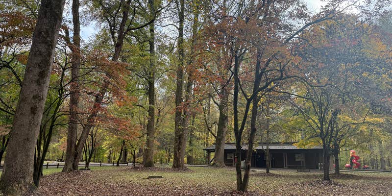 Camper submitted image from Quinn Springs Campground