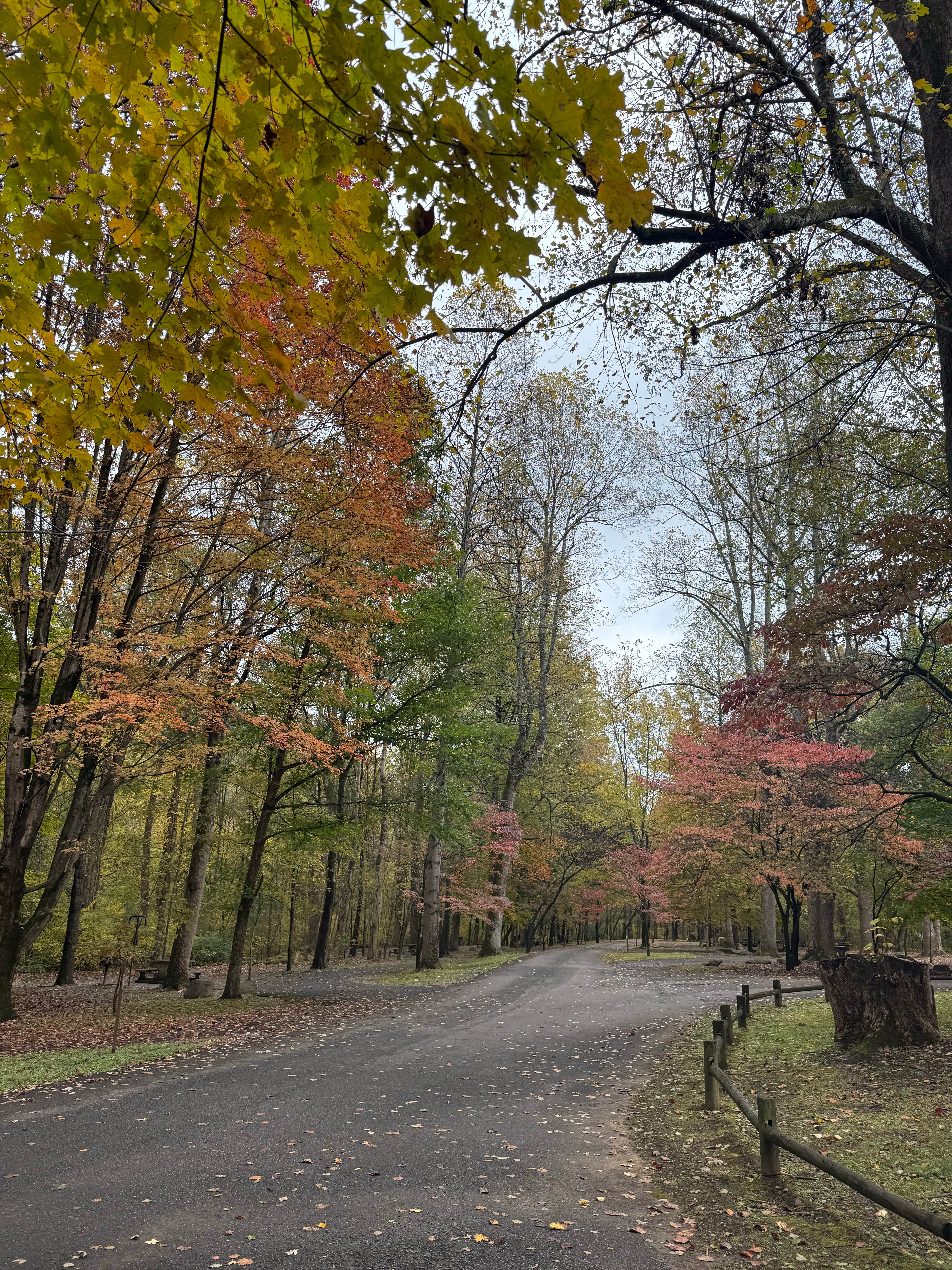 Camper-submitted photo at Quinn Springs Campground near Etowah, TN
