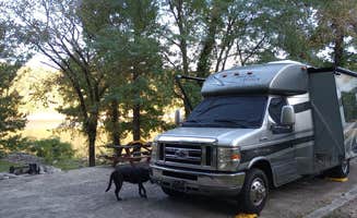 Paul B.'s photo of camping with pets at Ragland Bottom near Granville, TN