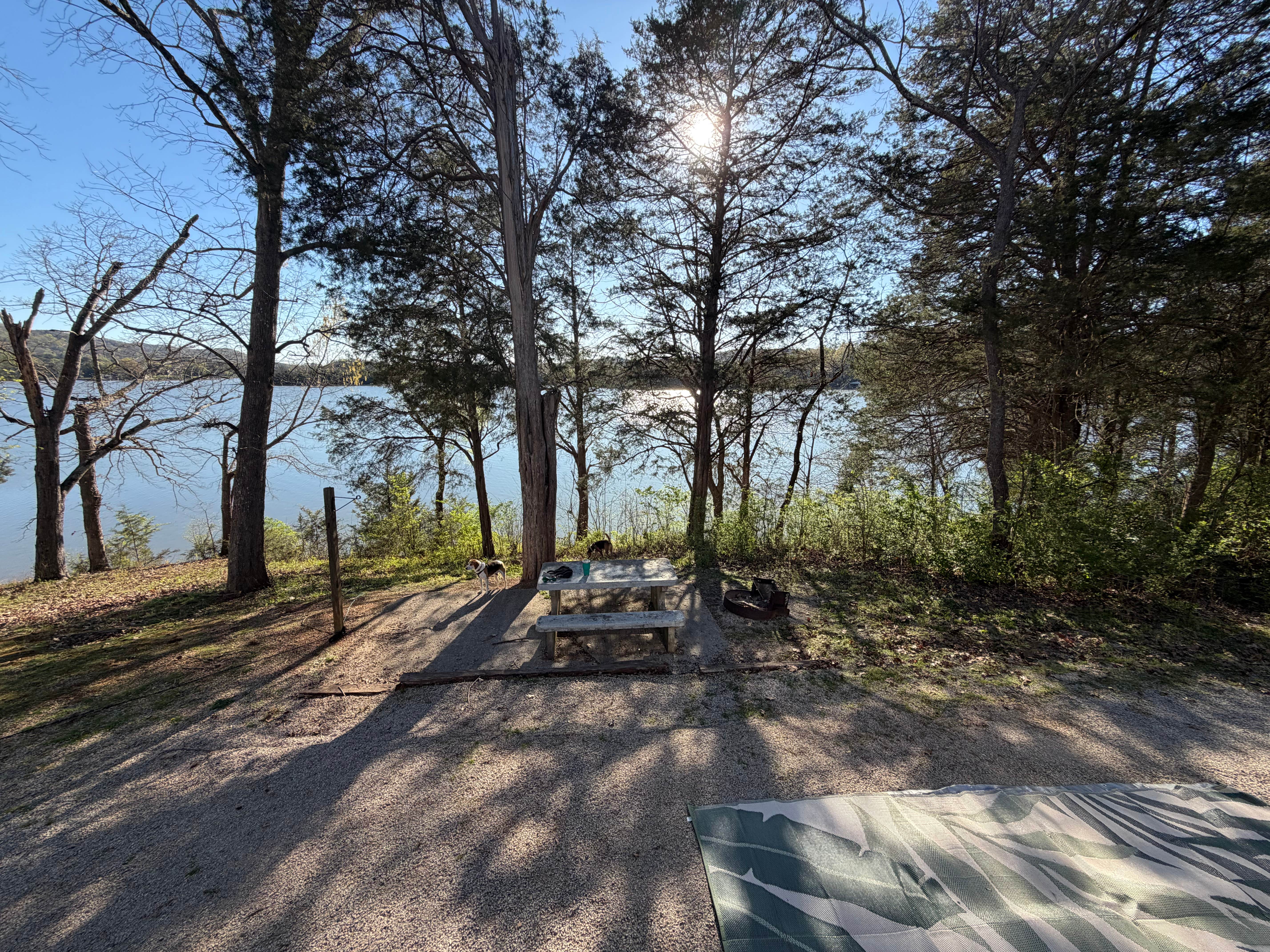 Camper-submitted photo at Riley Creek near Loudon, TN