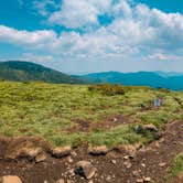 Review photo of Roan Mountain State Park Campground by Chaz M., April 29, 2024