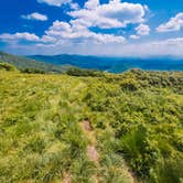 Review photo of Roan Mountain State Park Campground by Chaz M., April 29, 2024