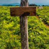 Review photo of Roan Mountain State Park Campground by Chaz M., April 29, 2024