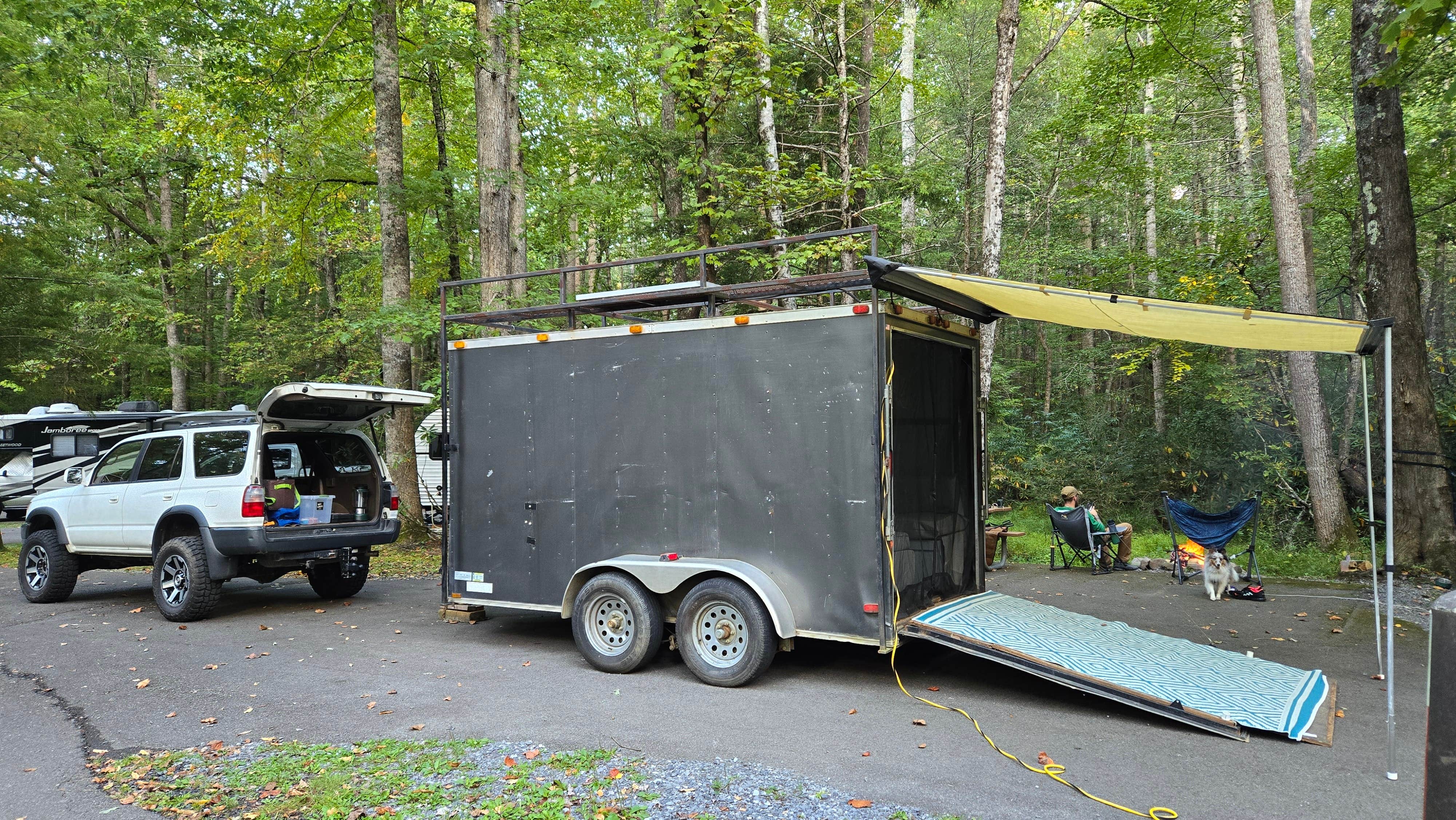 Mary D.'s photo of camping with pets at Roan Mountain State Park Campground near Johnson City, TN