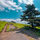 Review photo of Roan Mountain State Park Campground by Chaz M., April 29, 2024