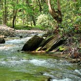 Review photo of Roan Mountain State Park Campground by Tracy D., June 1, 2025