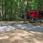 Review photo of Roan Mountain State Park Campground by A K., June 3, 2026