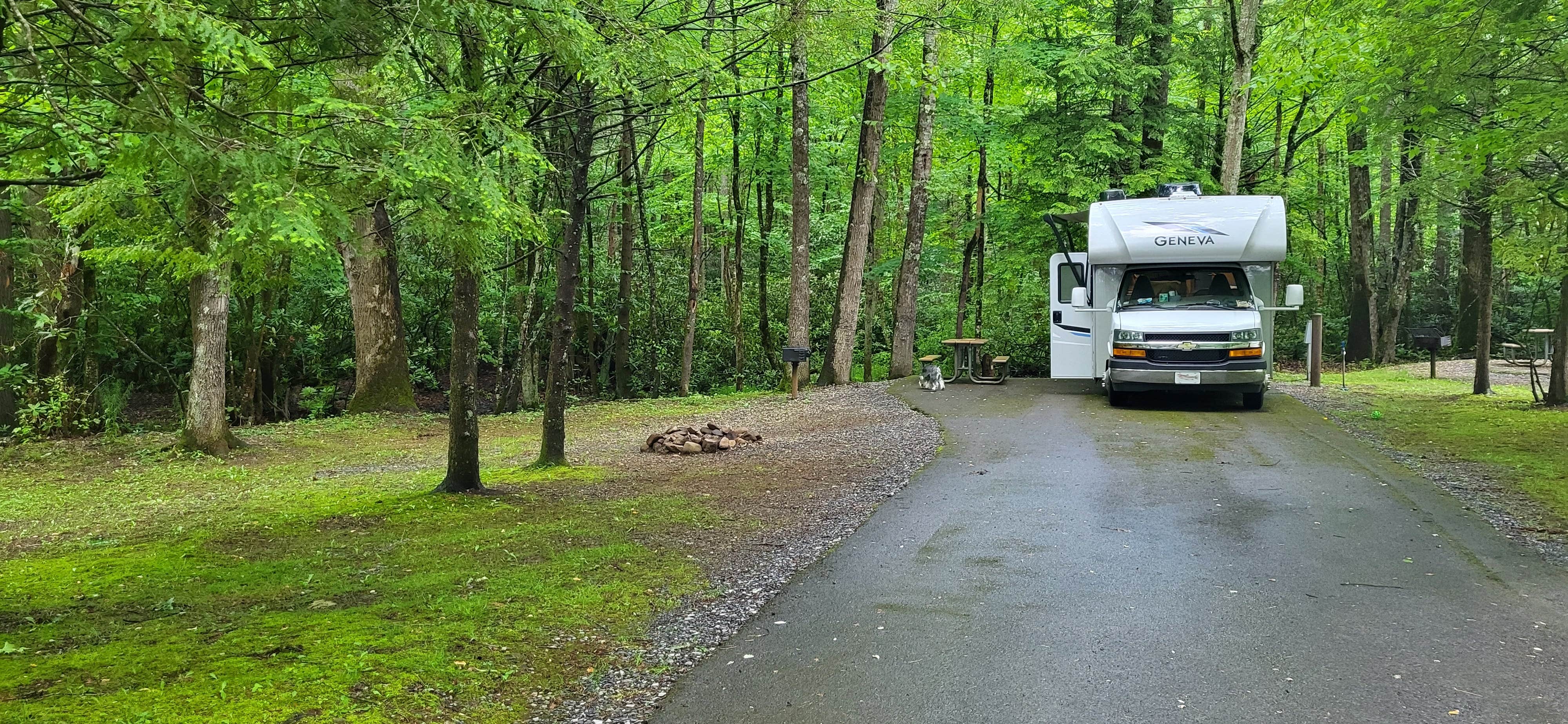Tracy D.'s photo of rv camping at Roan Mountain State Park Campground near Watauga, TN