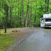 Review photo of Roan Mountain State Park Campground by Tracy D., June 1, 2025