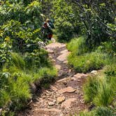 Review photo of Roan Mountain State Park Campground by Chaz M., April 29, 2024