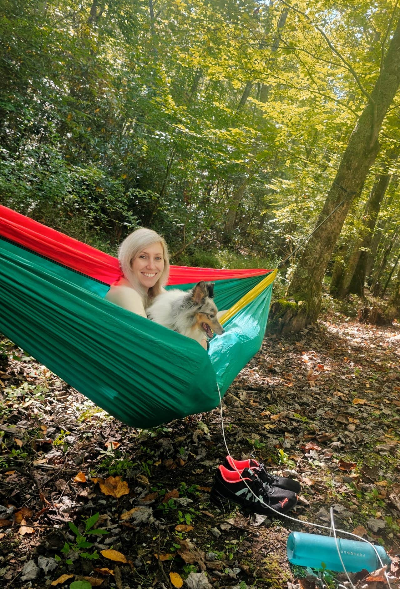 Mary D.'s photo of camping with pets at Roan Mountain State Park Campground near Bakersville, NC