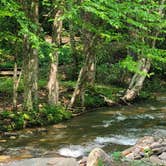 Review photo of Roan Mountain State Park Campground by Tracy D., June 1, 2025