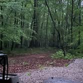 Review photo of Rock Island State Park Campground by Beth LeVar L., April 28, 2025