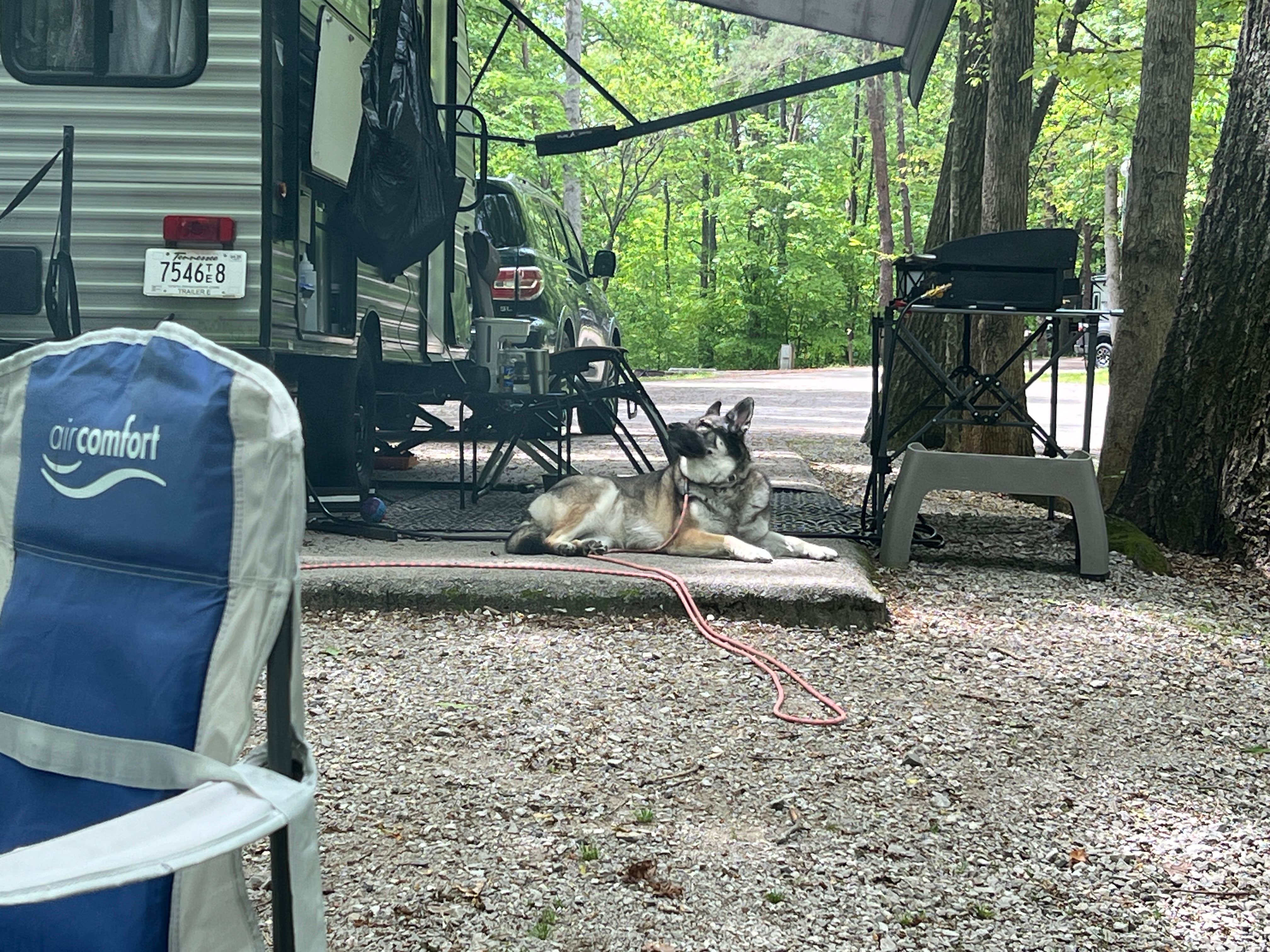 Beth LeVar L.'s photo of camping with pets at Rock Island State Park Campground near Monterey, TN