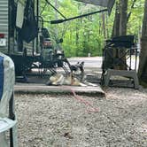 Review photo of Rock Island State Park Campground by Beth LeVar L., April 28, 2025