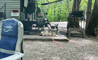 Beth LeVar L.'s photo of camping with pets at Rock Island State Park Campground near Center Hill Lake