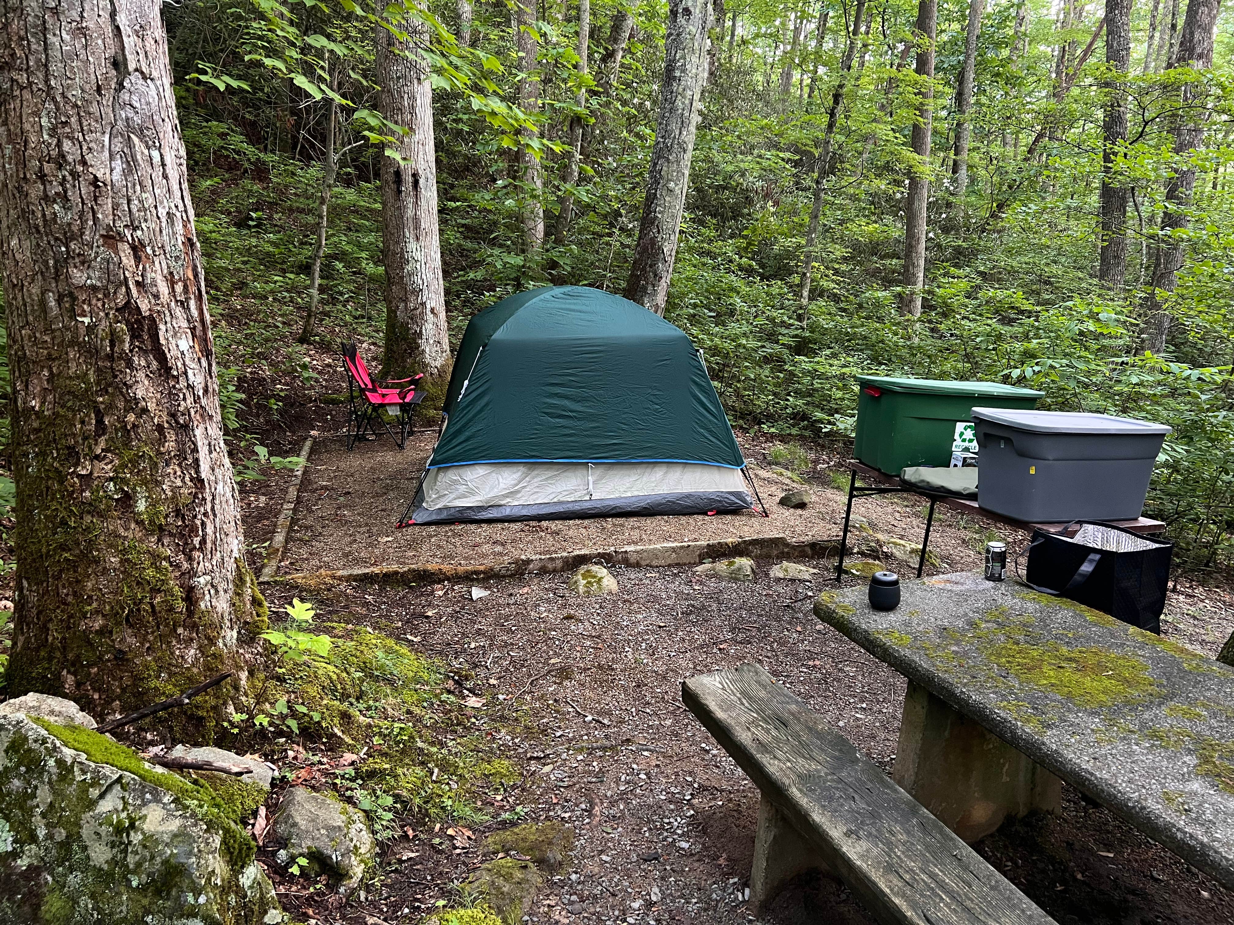 Camper-submitted photo at Round Mountain near Del Rio, TN
