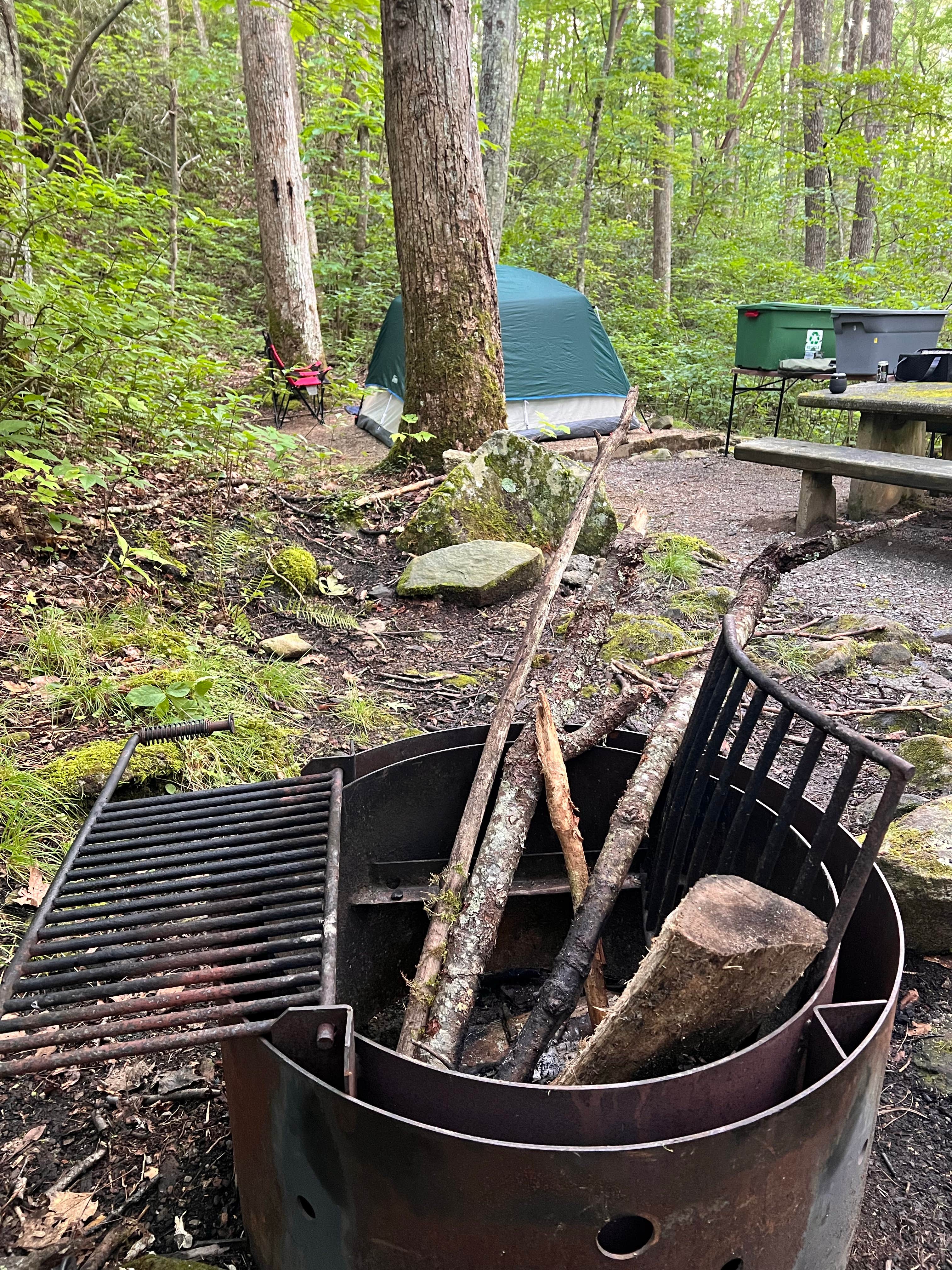 Camper submitted image from Round Mountain - 1