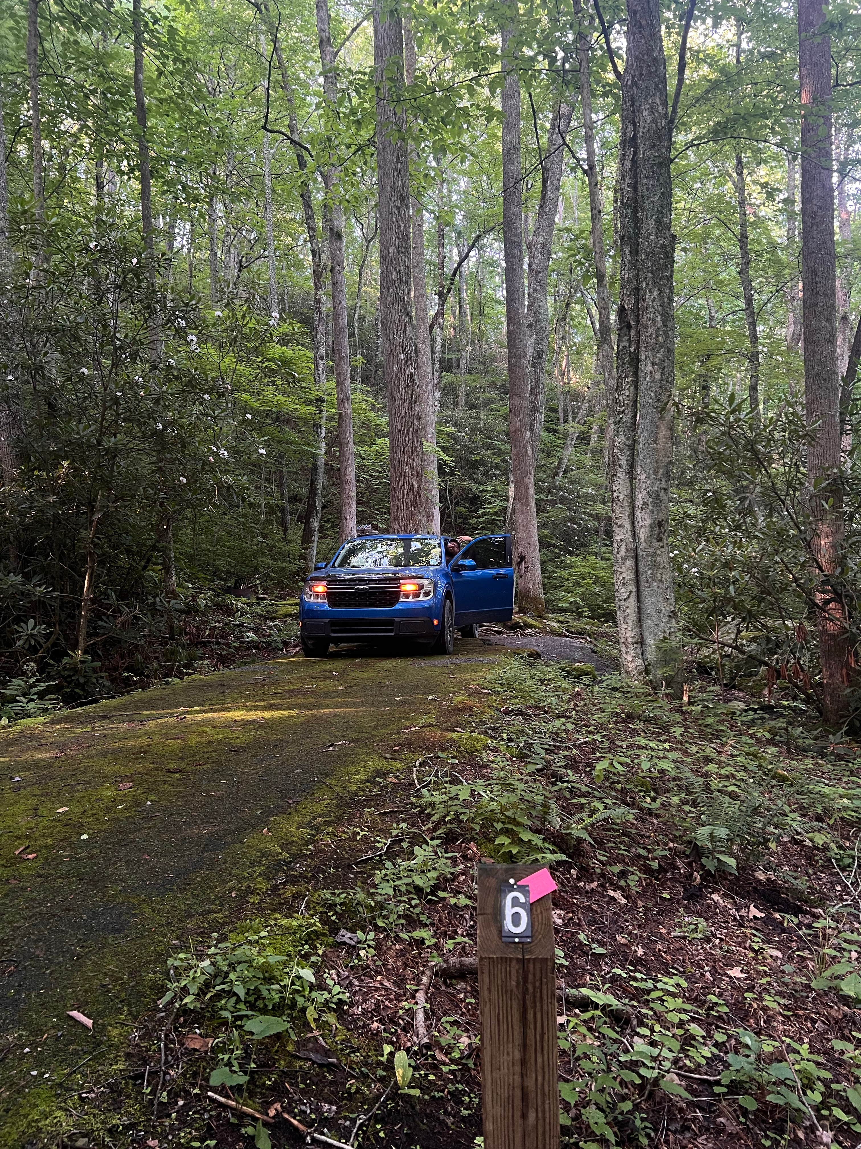 Camper-submitted photo at Round Mountain near Del Rio, TN