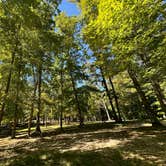 Review photo of Standing Stone State Park Campground by James R., September 9, 2024