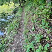 Review photo of Standing Stone State Park Campground by Carolin C., September 4, 2024