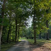 Review photo of Standing Stone State Park Campground by Carolin C., September 4, 2024