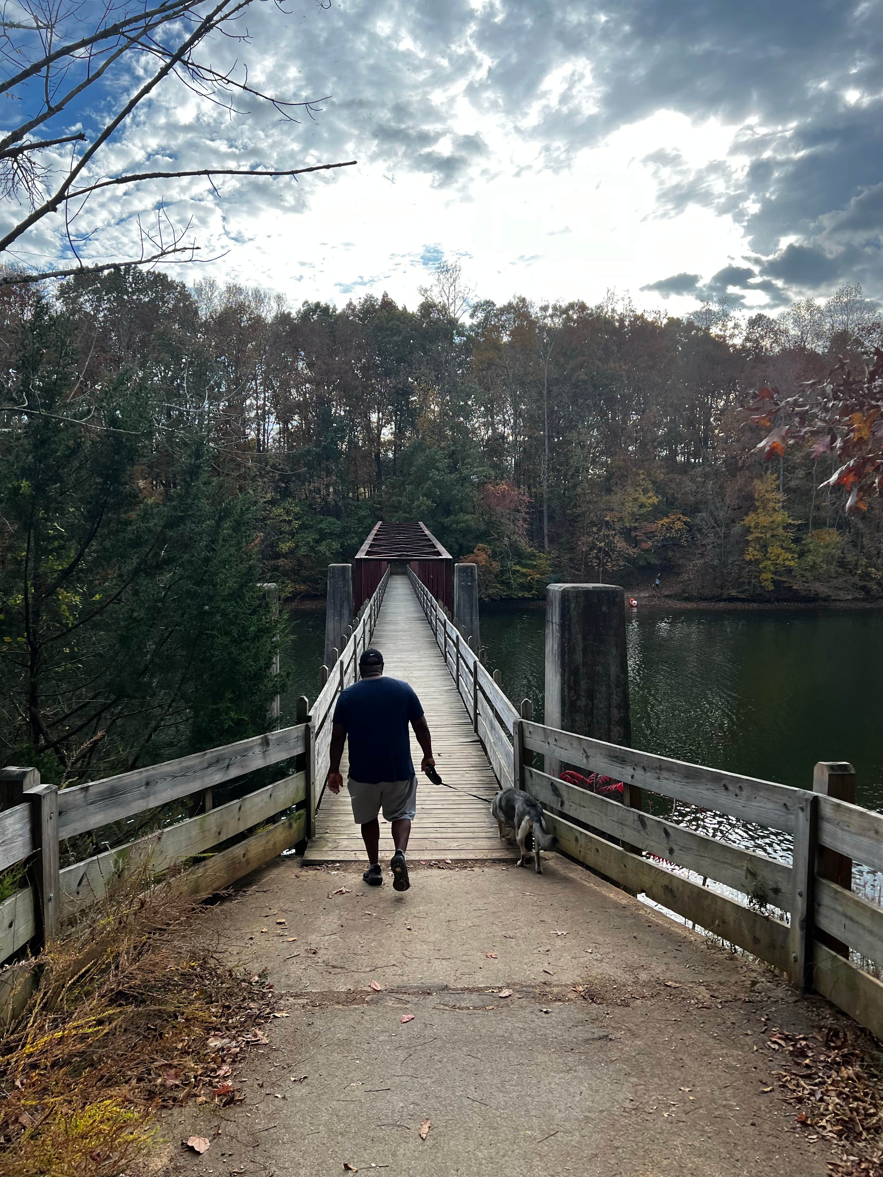 Beth LeVar L.'s photo of camping with pets at Tims Ford State Park Main Campground — Tims Ford State Park near Estillfork, AL