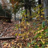 Review photo of Tims Ford State Park Main Campground — Tims Ford State Park by Beth LeVar L., October 31, 2023