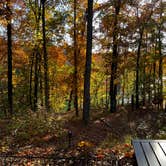 Review photo of Tims Ford State Park Main Campground — Tims Ford State Park by Beth LeVar L., October 31, 2023