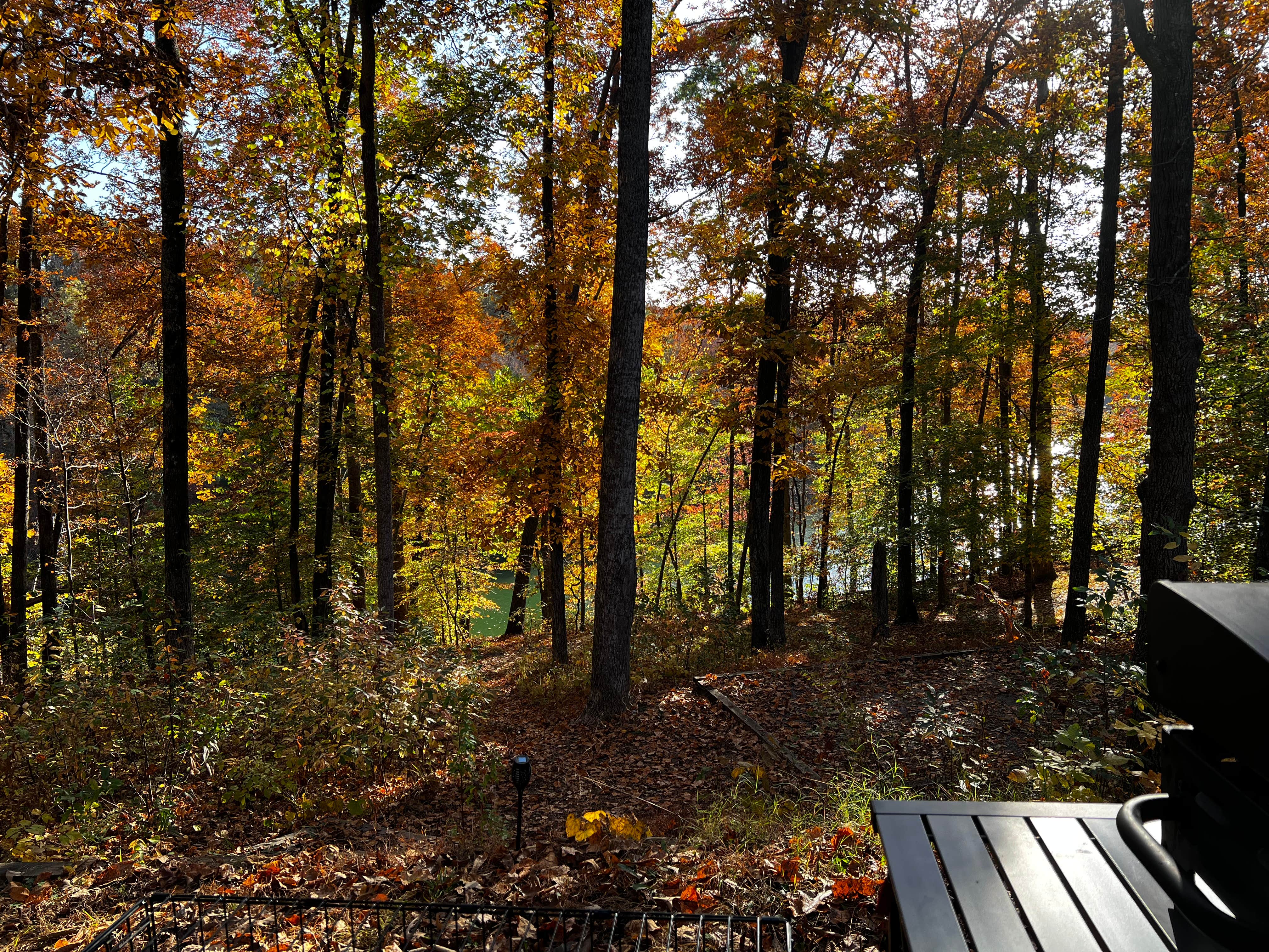 Camper submitted image from Tims Ford State Park Main Campground — Tims Ford State Park - 1