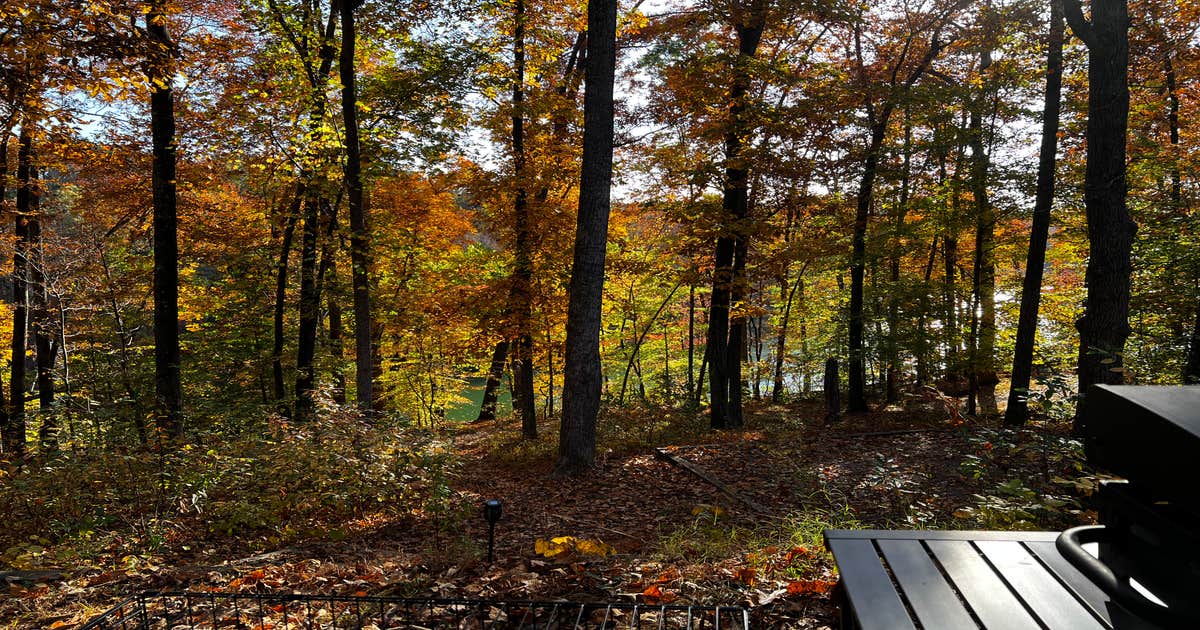 Tims Ford State Park Main Campground — Tims Ford State Park | Belvidere ...