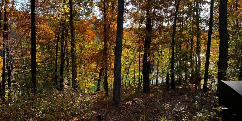 Camper submitted image from Tims Ford State Park Main Campground — Tims Ford State Park