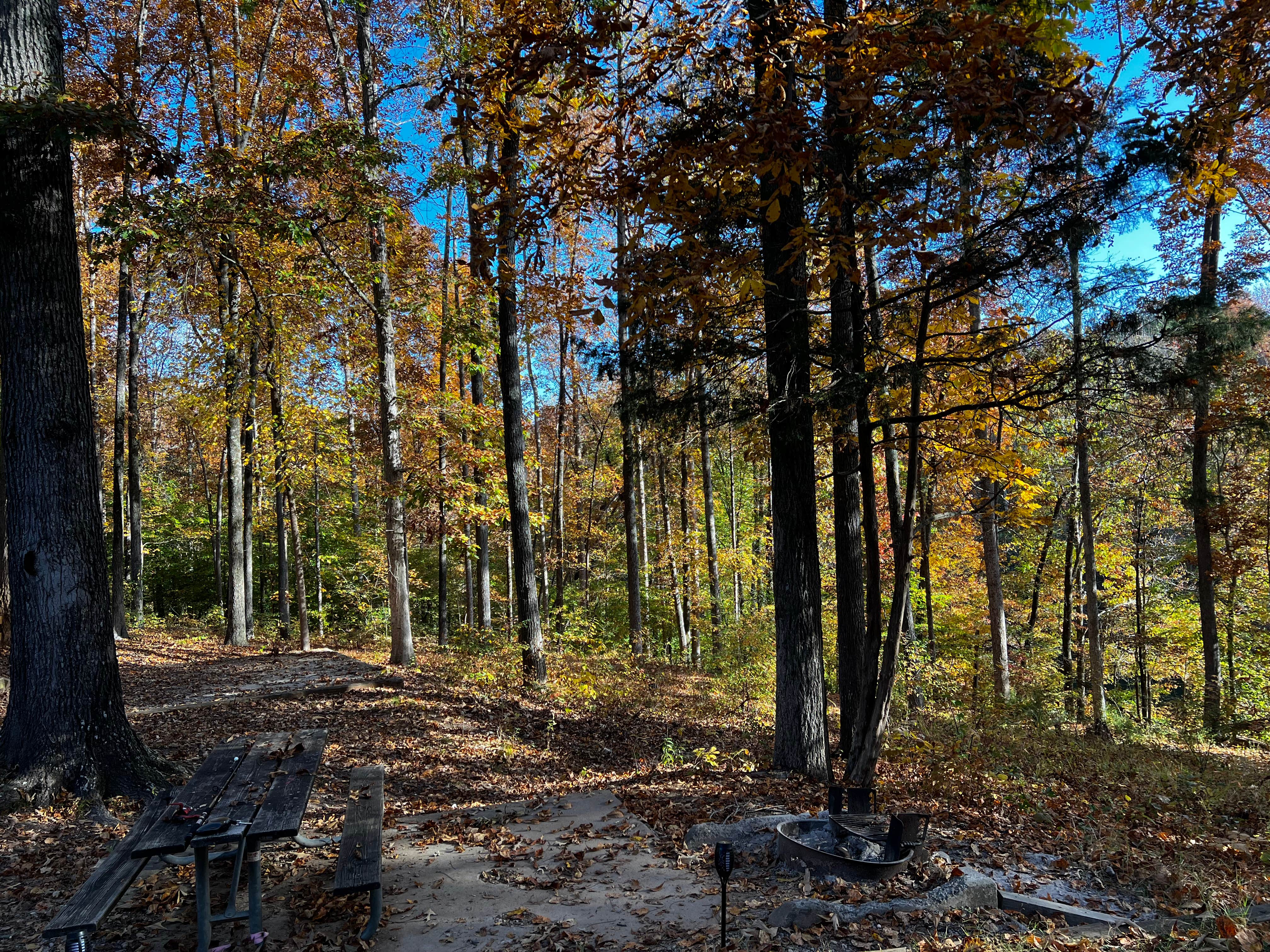 Camper-submitted photo at Tims Ford State Park Main Campground — Tims Ford State Park near Tullahoma, TN