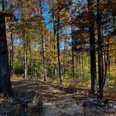 Review photo of Tims Ford State Park Main Campground — Tims Ford State Park by Beth LeVar L., October 31, 2023