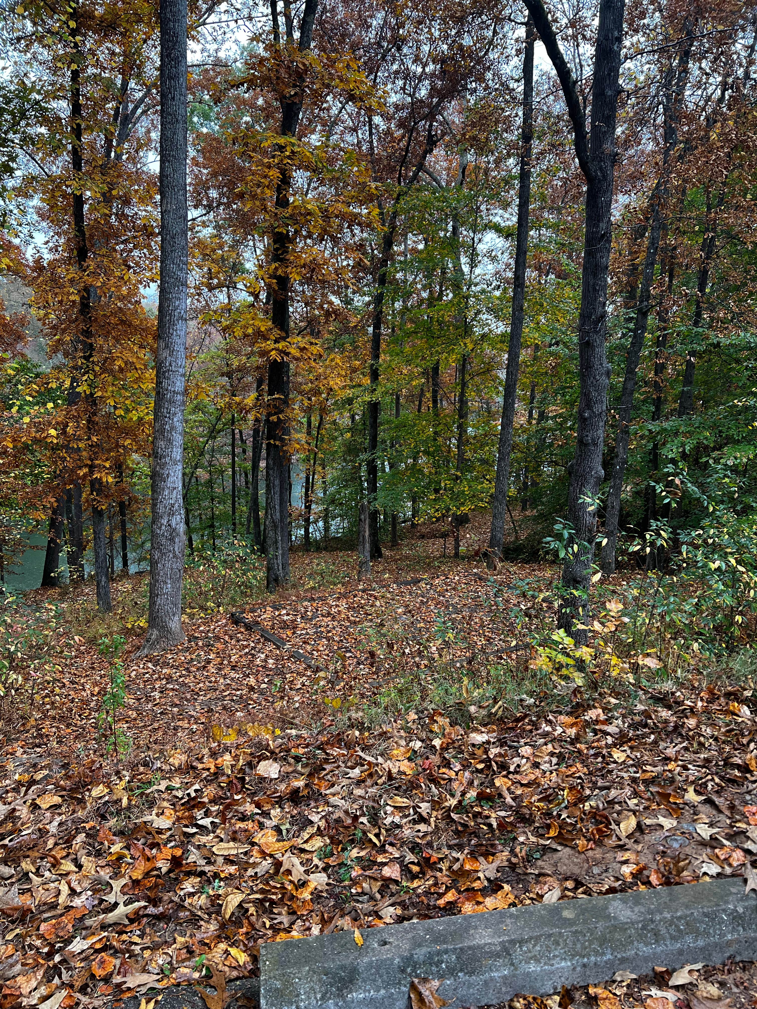 Camper-submitted photo at Tims Ford State Park Main Campground — Tims Ford State Park near Tullahoma, TN