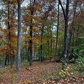 Review photo of Tims Ford State Park Main Campground — Tims Ford State Park by Beth LeVar L., October 31, 2023