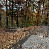 Review photo of Tims Ford State Park Main Campground — Tims Ford State Park by Beth LeVar L., October 31, 2023