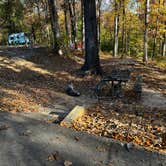 Review photo of Tims Ford State Park Main Campground — Tims Ford State Park by Beth LeVar L., October 31, 2023