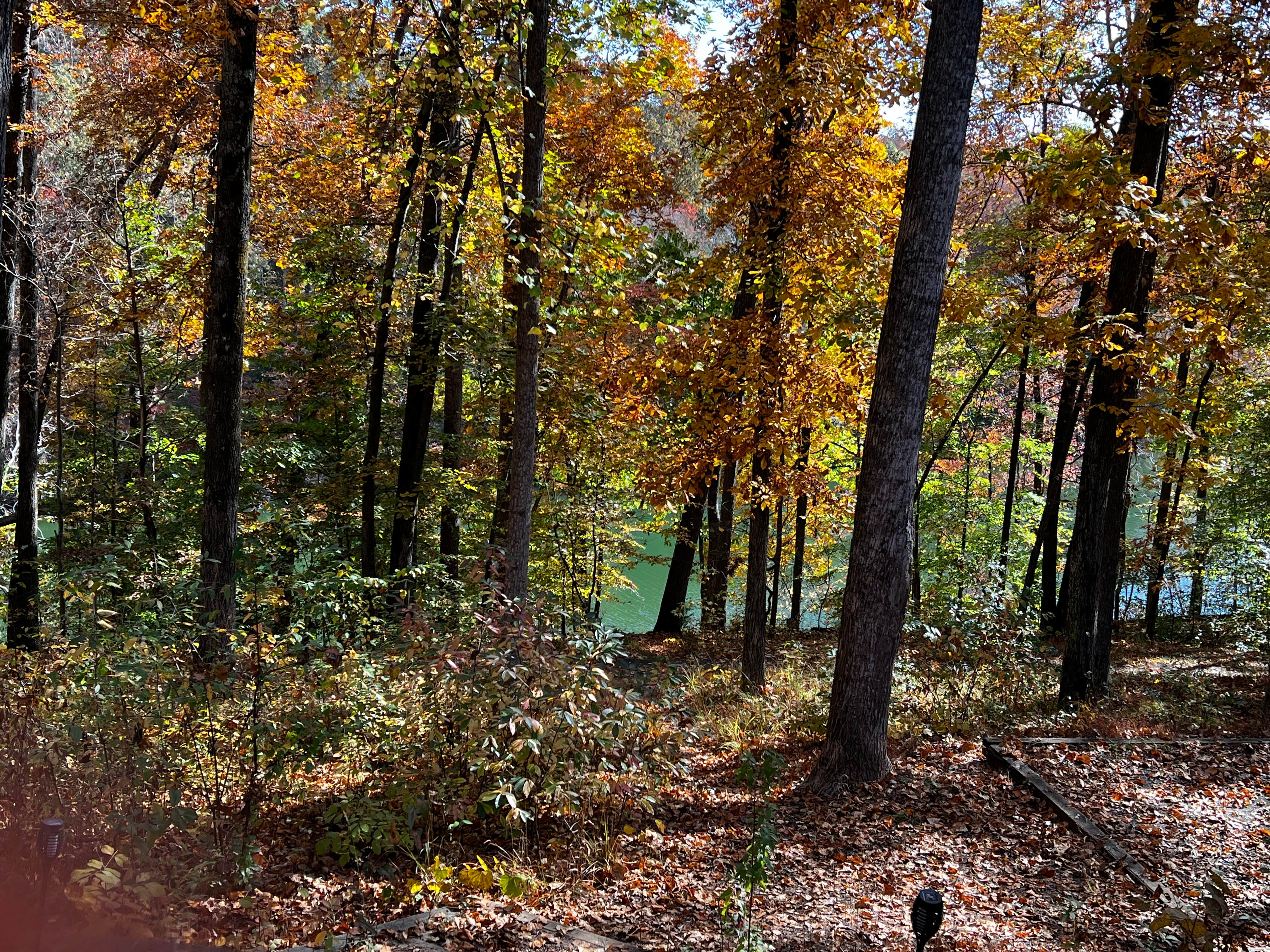Camper-submitted photo at Tims Ford State Park Main Campground — Tims Ford State Park near Tullahoma, TN
