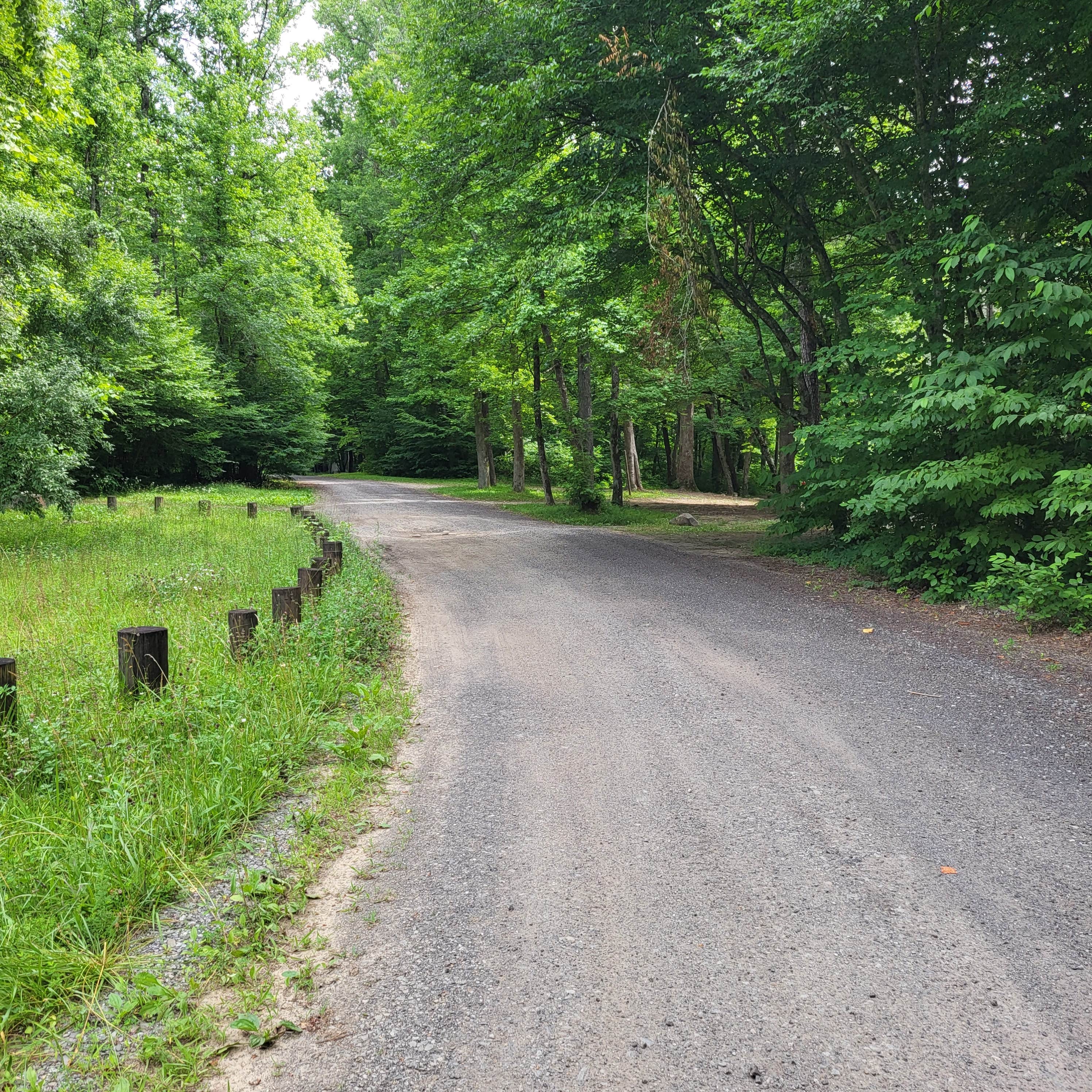 Camper submitted image from Tumbling Creek Campground - 3