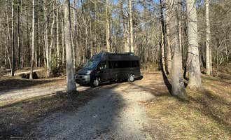 Camping near White Oak Reserve : Tumbling Creek Campground, Copperhill, Tennessee