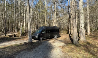 Camping near Dancing Bear: Tumbling Creek Campground, Copperhill, Tennessee