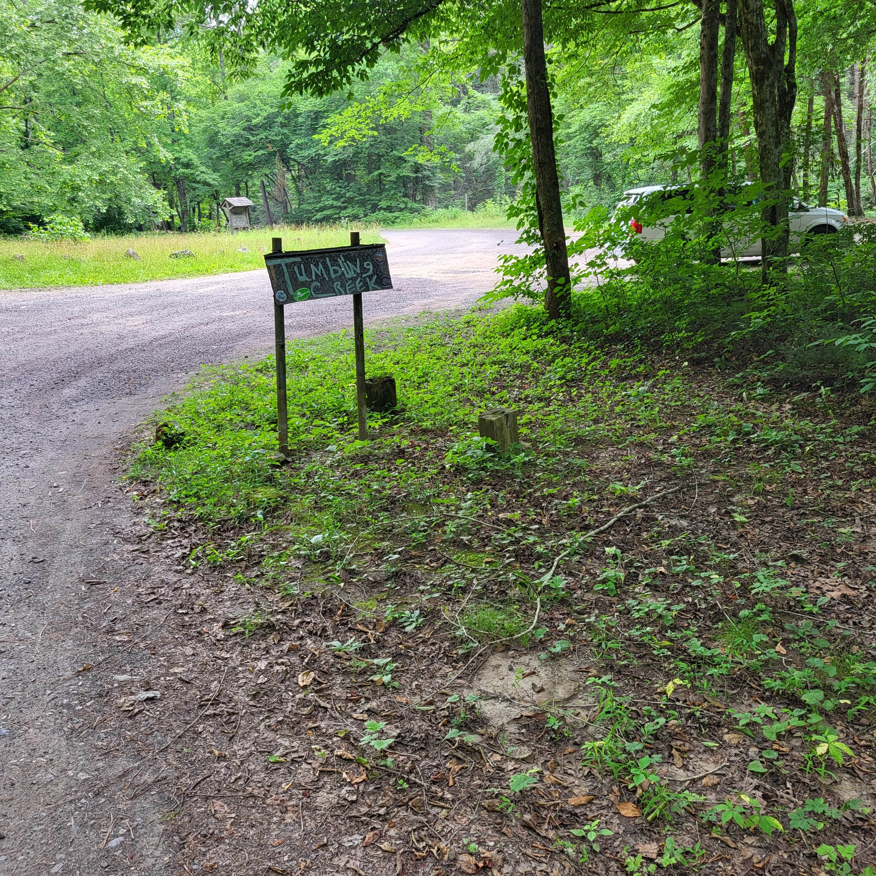 Camping near Creekside Comfort: Tumbling Creek Campground, Copperhill, Tennessee