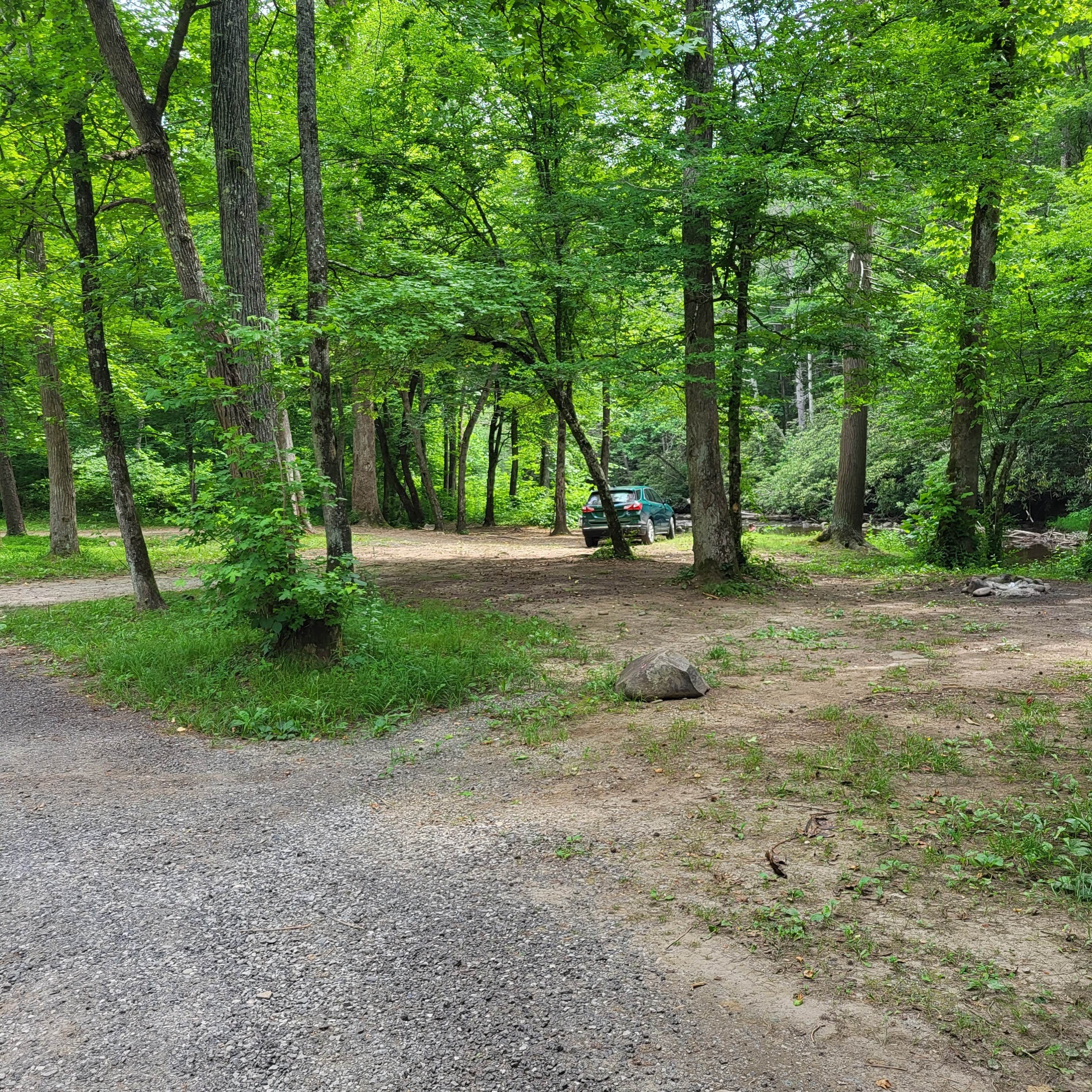 Camper submitted image from Tumbling Creek Campground - 4