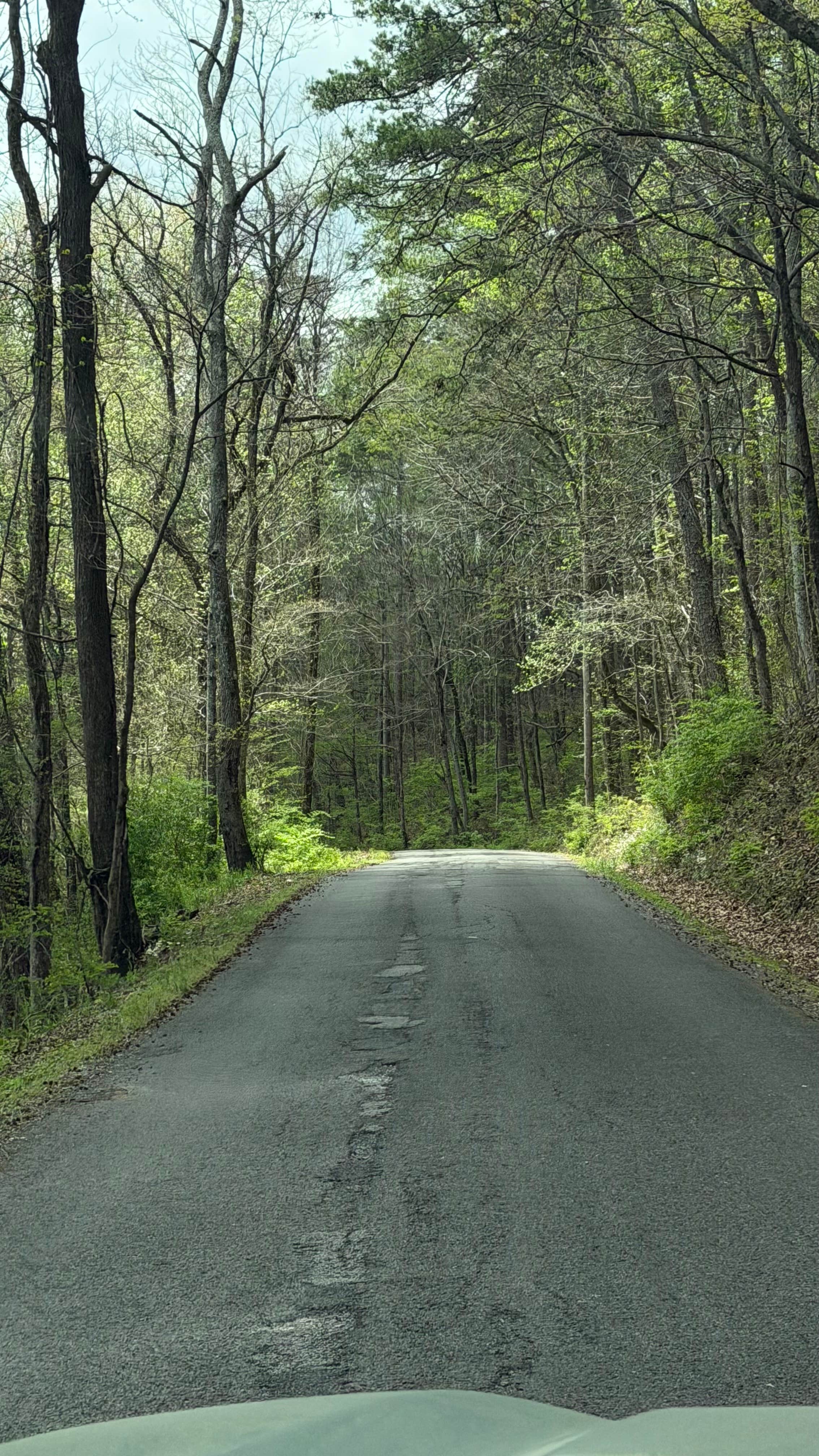 Camper-submitted photo at Tennessee Wall Camp near Whiteside, TN