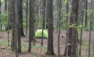 Sterling G.'s photo at Tennessee Wall Camp near White Oak, GA